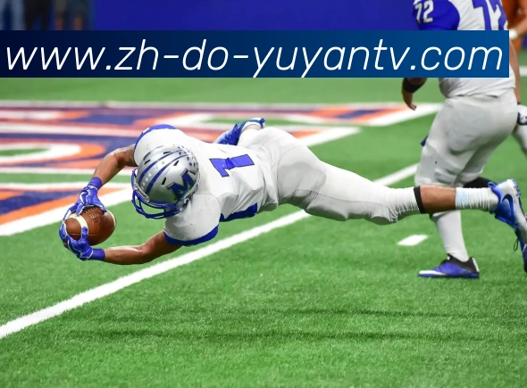 App Interface Preview