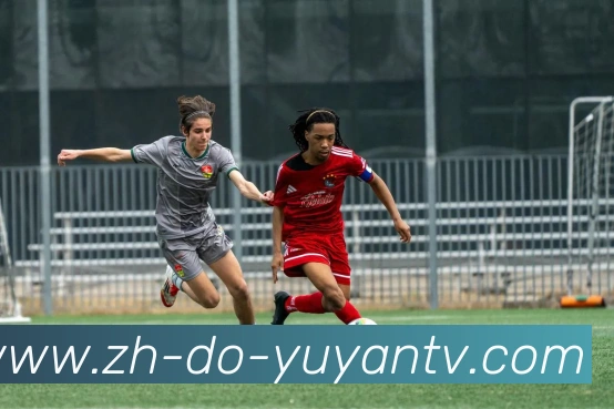 雨燕直播APP 封面图